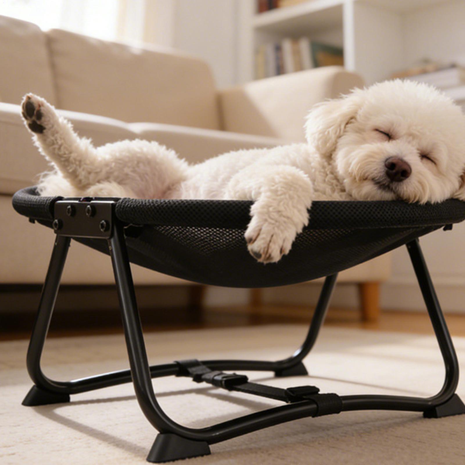 سرير كلاب قابل للطي، أرجوحة نا - مراجعة Outdoor Camping Dog Bed وسعره