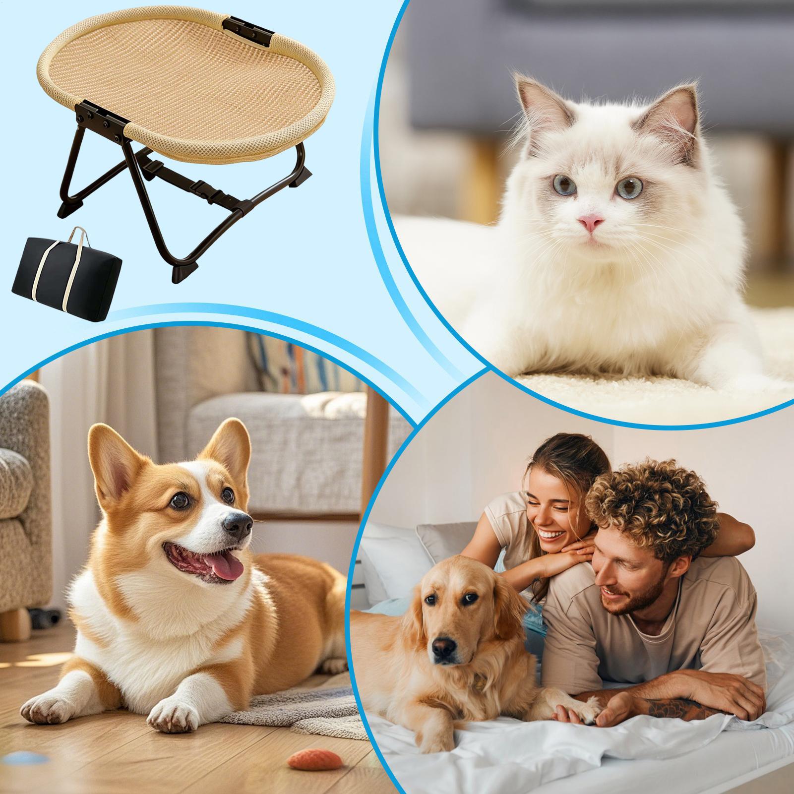 سرير كلاب قابل للطي، أرجوحة نا - مراجعة Outdoor Camping Dog Bed وسعره