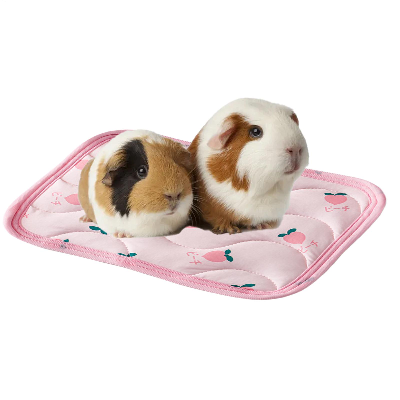 بساط تبريد للحيوانات الأليفة ق - مراجعة Outdoor Camping Dog Bed وسعره