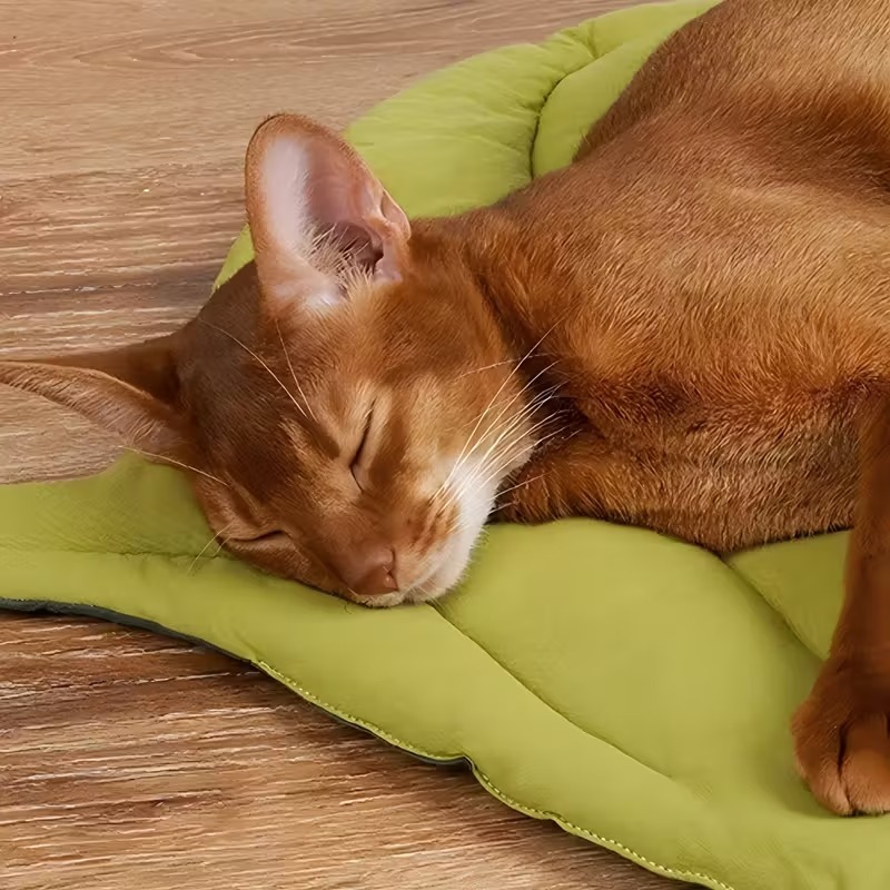 وسادة ناعمة قابلة للعكس للحيوا - مراجعة Outdoor Camping Dog Bed وسعره