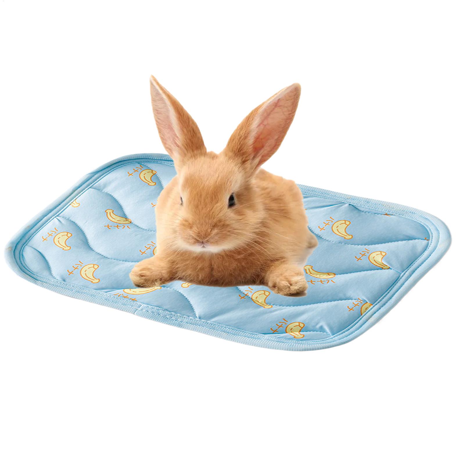 سجادة تبريد محمولة ومتينة للحي - مراجعة Outdoor Camping Dog Bed وسعره