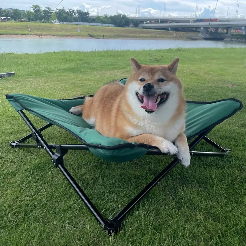 سرير كلاب فاخر وعصري محمول، حص - مراجعة Outdoor Camping Dog Bed وسعره